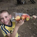 David helping to get cashews down.