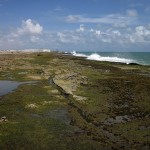 Waves crashing on the reef.  Notice the old fort in the background