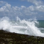 IMG_1629