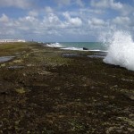 IMG_1634