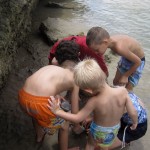 David, Luke and Paul catching little fish at the beach with uncle Tim